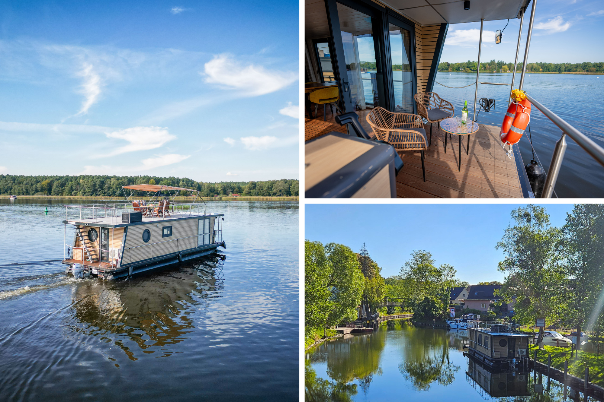 Design ohne Titel (12).png